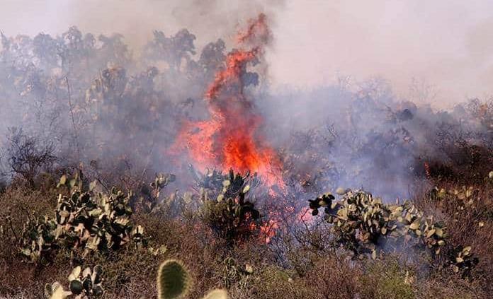 Registran Incendios Forestales Activos En M Xico