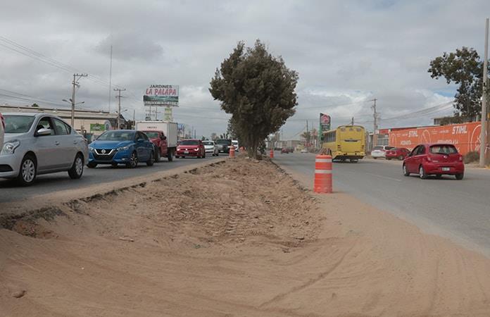 Autoriza La Segam Tala Por Obra Del Puente En Soledad