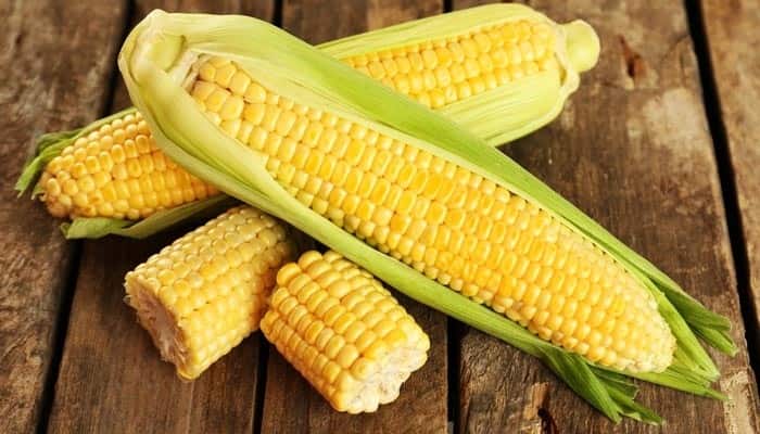 Conoce algunos beneficios del elote