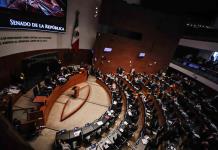 Piden comparecencia de Rosario Piedra en el Senado