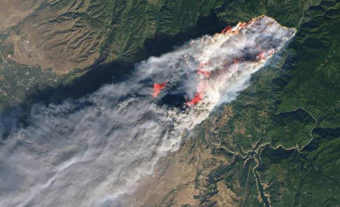 Fundador de Amazon es criticado por donación contra incendios en Australia Fundador de Amazon es criticado por donación contra incendios en Australia