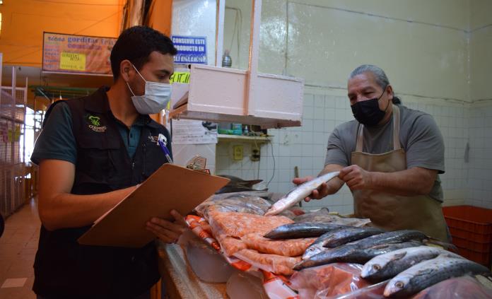 Clausuró Coepris 15 establecimientos y destruyó más de 27 kilos de pescados  y mariscos