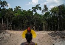 Expertos piden a la ONU empoderar a los pueblos indígenas en biodiversidad