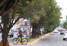 Aplauden diputados a ciudadanos que impidieron retiro de árboles y ciclovía de Himno Nacional