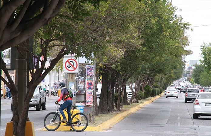 Aplauden diputados a ciudadanos que impidieron retiro de árboles y ciclovía de Himno Nacional