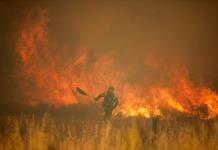 Ola de calor y sequías agravan riesgo de incendios en Europa