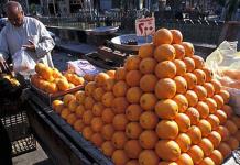 Naranjeros mantienen al 100% de los trabajadores en la informalidad, denuncia Gallardo ante la titular de STyPS