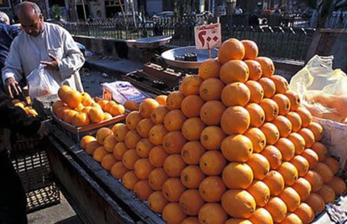 Naranjeros mantienen al 100% de los trabajadores en la informalidad, denuncia Gallardo ante la titular de STyPS