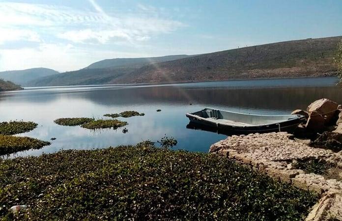 Se llena de lirio la presa San José