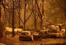 Crecen incendios forestales en EU