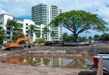 Un centenario árbol de Florida amenazado por una construcción es trasplantado