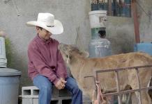 Documental mexicano Temporada de campo ofrece mirada infantil a la crianza de toros