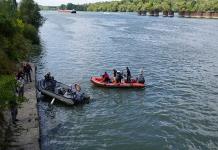Rescatistas buscan salvar a beluga que llegó al río Sena