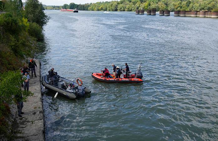 Rescatistas buscan salvar a beluga que llegó al río Sena